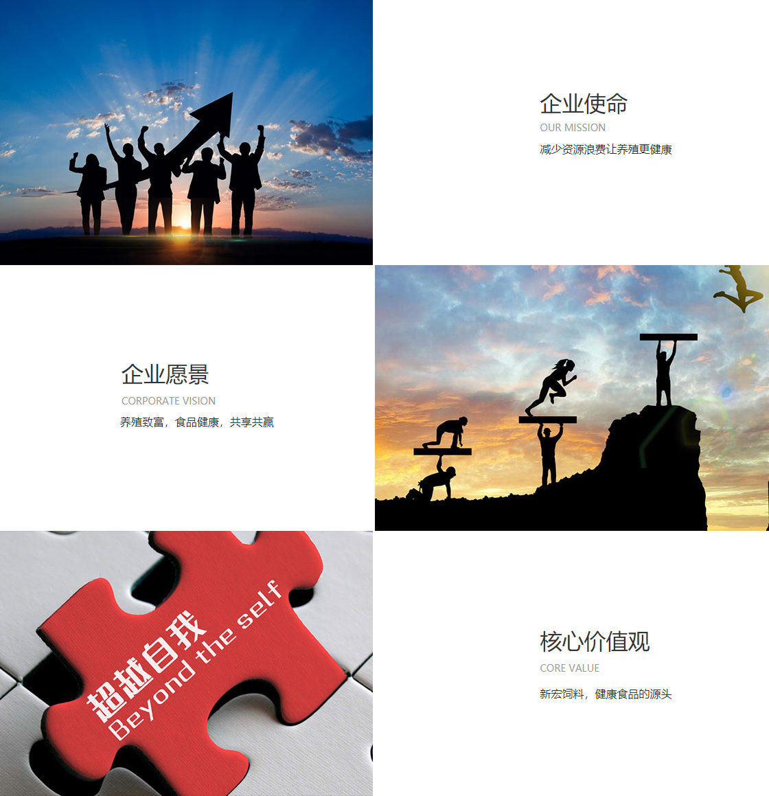 极速赛车大数据分析软件(图1)